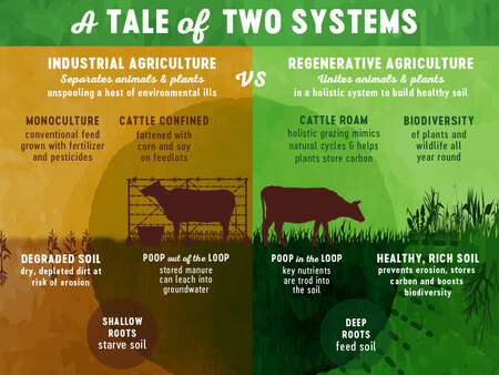 Regenerative Agriculture: Definition